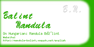 balint mandula business card